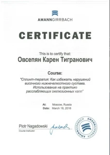 Сплинт-терапия — Amann Girrbach