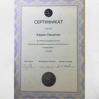 Искусство реставрации в концепции Био-Эмуляции