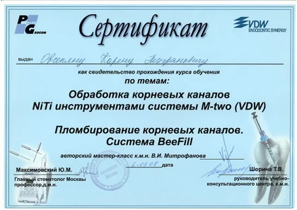 Обработка и пломбирование корневых каналов